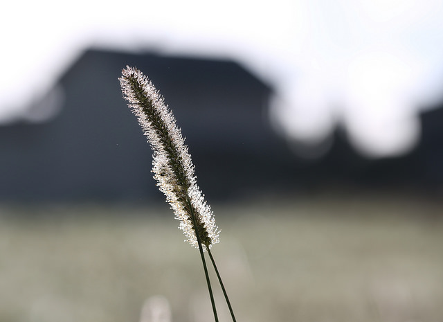 „Ty przed&nbsp;Tobą świat, za&nbsp;Tobą ja…”