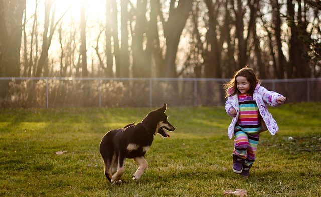 Empatia, brud i&nbsp;samo dobro, czyli dlaczego relacja dziecko pies jest taka wyjątkowa