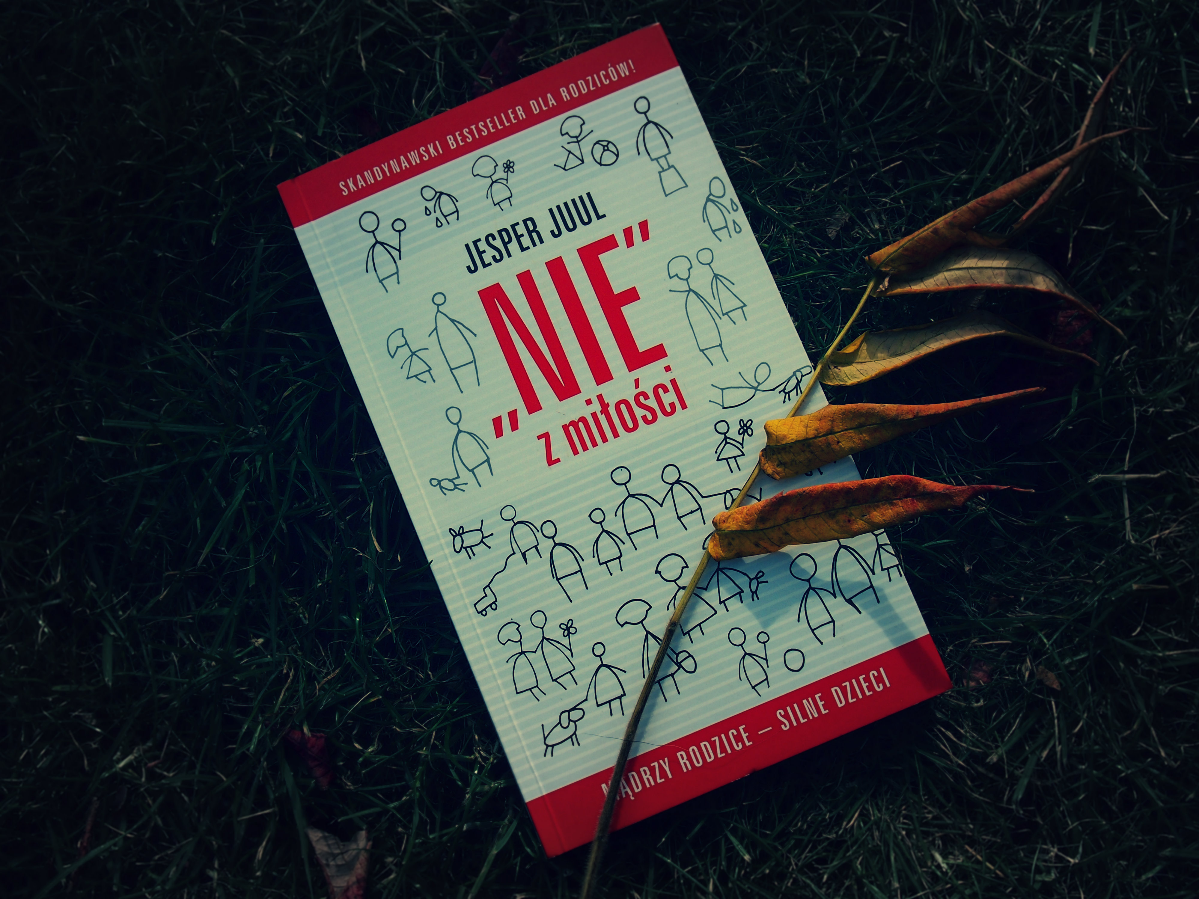 Jesper Juul „Nie z&nbsp;miłości” – recenzja